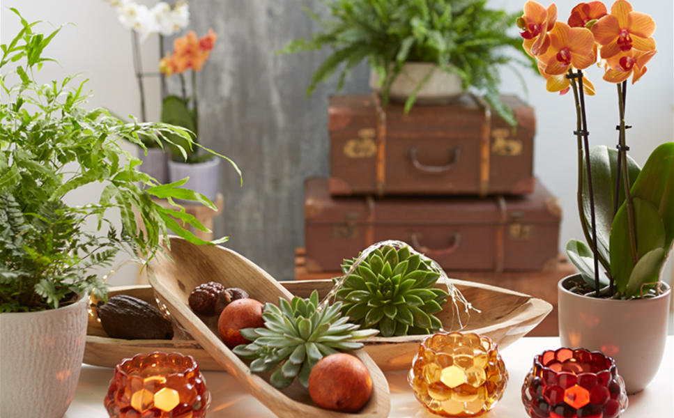 Aktuelles - Die besten Dekotipps! Aktuelles - Die besten Dekotipps!