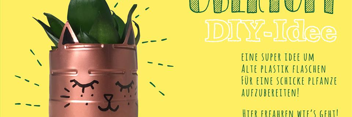 05_Juli_DIY_web