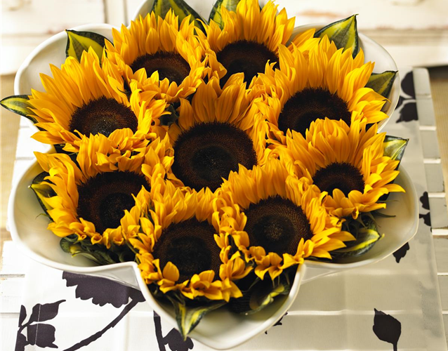 DIE TOP 8 DER HERBSTBLUMEN
