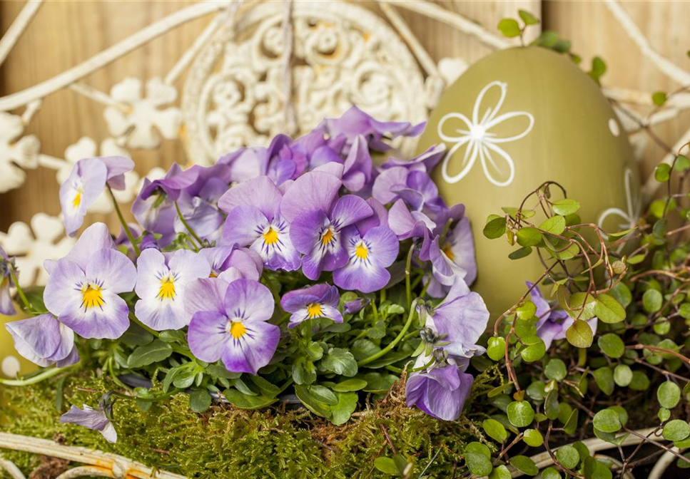 BUNTES OSTERFEST MIT FRüHLINGSBOTEN! BUNTES OSTERFEST MIT FRüHLINGSBOTEN!