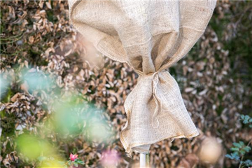 WINTERSCHUTZ IM BEET UND VOR DER TüR   WINTERSCHUTZ IM BEET UND VOR DER TüR