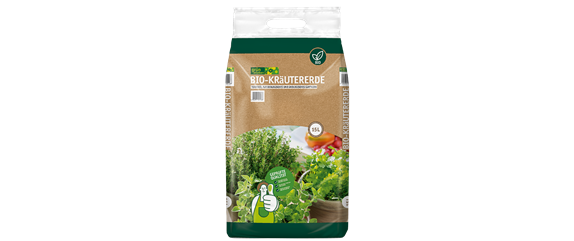 PFLANZE DES MONATS MÄRZ: ROSMARIN