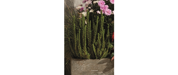 EIN KUNTERBUNTER HERBST!