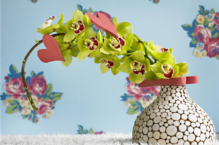 DIE TOP 8 DER WINTERBLUMEN DIE TOP 8 DER WINTERBLUMEN