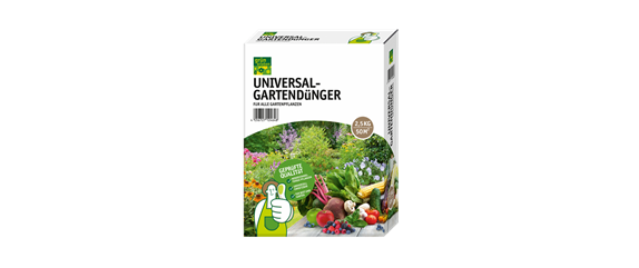 PFLANZE DES MONATS NOVEMBER: EUKALYPTUS PFLANZE DES MONATS NOVEMBER: EUKALYPTUS