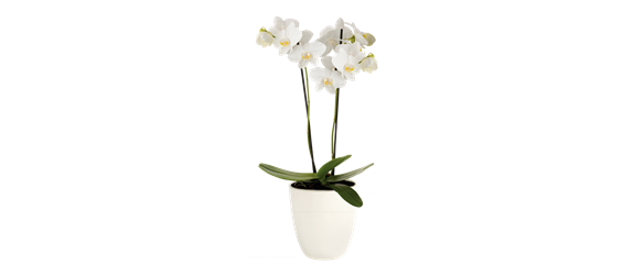 AUF EIN NATÜRLICHES OSTERFEST!