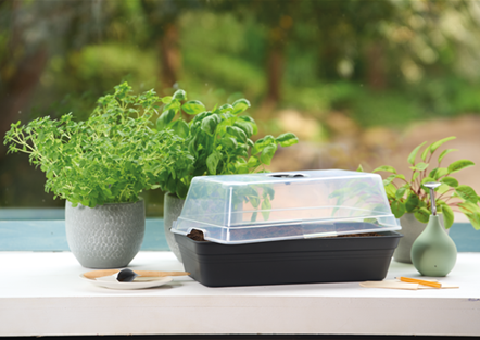 PLATZ DA AUF DER FENSTERBANK!