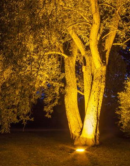 WEIHNACHTS-LICHTER-GÄRTEN WEIHNACHTS-LICHTER-GÄRTEN