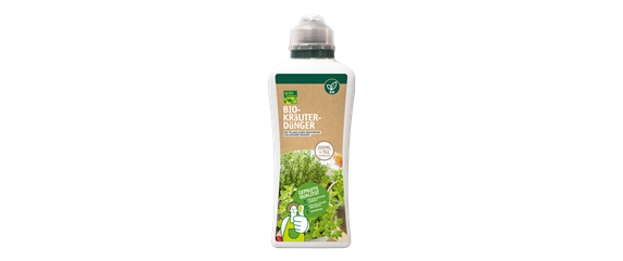 PLATZ DA AUF DER FENSTERBANK!