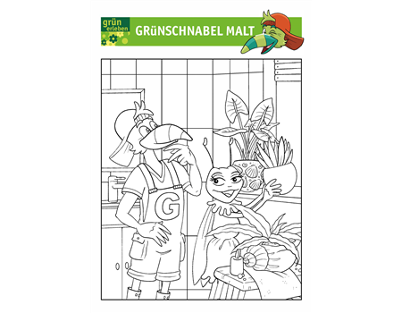 Grünschnabel Malvorlage 1 25 Grünschnabel Malvorlage 1 25