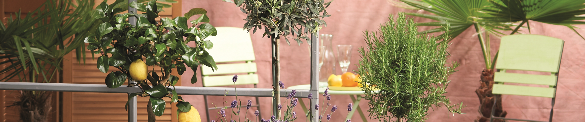 MEDITERRANER FLAIR! 