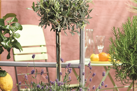 MEDITERRANER FLAIR! 