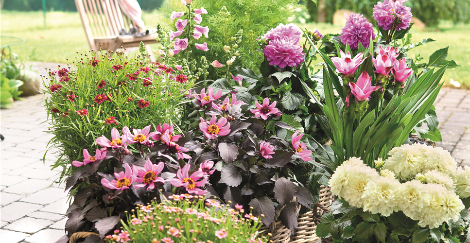 BLÜHENDER GARTEN! AUSDAUERNDE STAUDEN FÜR TERRASSEN UND BEETE. 